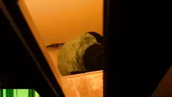 Station_toilet_2