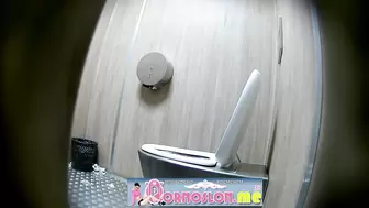 Publictoiletsl74 vol 730