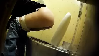 PublictoiletSL74 vol 513