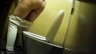 PublictoiletSL74 vol 411