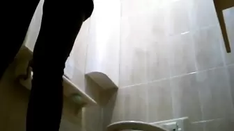 Japanese Voyeur Toilet 15310002