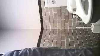 Japanese Voyeur Toilet 15310002