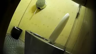 PublictoiletSL74 vol 338