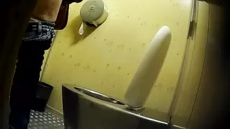 PublictoiletSL74 vol 252