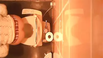 Japanese Voyeur Toilet 15322384