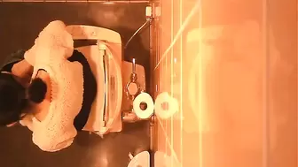 Japanese Voyeur Toilet 15322384