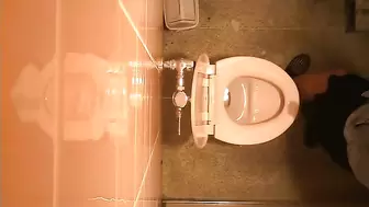 Japanese Voyeur Toilet 15320519