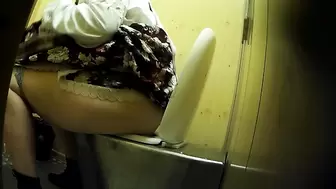 PublictoiletSL74 vol 194