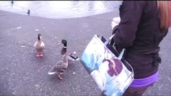 Public Wetting in the Park