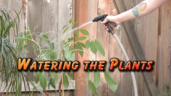 Watering the Plants