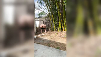 mazzykiti - Just being behind the shed does hide my peeing