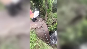 littlethicklily - Hehe out feeding the chickens again and I tried to pee in the water..